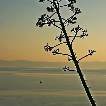 Idyllic Villa Marieta With Private Pool And Unforgettable View Makarska Exterior photo